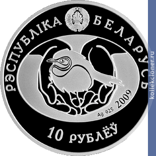 Full 10 rubley 2009 goda seryy gus