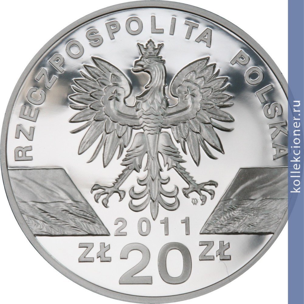 Full 20 zlotyh 2011 goda barsuk