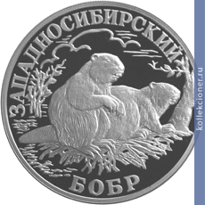 Full 1 rubl 2001 goda zapadnosibirskiy bobr