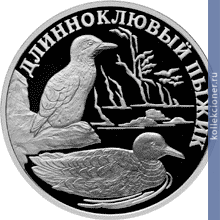 Full 1 rubl 2005 goda dlinnoklyuvyy pyzhik