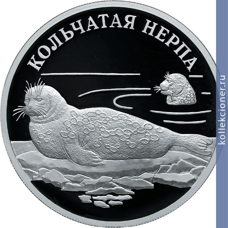 Full 1 rubl 2007 goda kolchataya nerpa