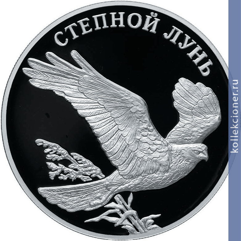 Full 1 rubl 2007 goda stepnoy lun