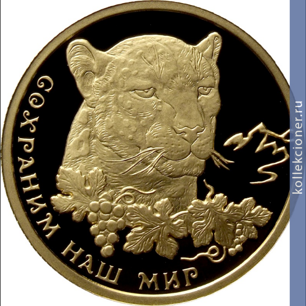 Full 50 rubley 2011 goda peredneaziatskiy leopard