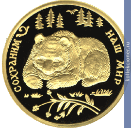 Full 100 rubley 1993 goda buryy medved