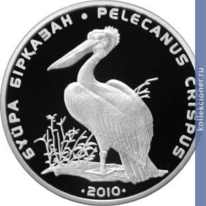 Full 500 tenge 2010 goda kudryavyy pelikan
