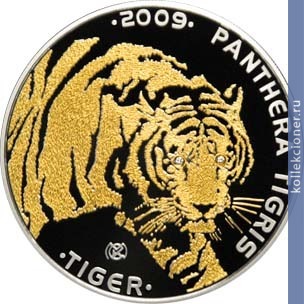Full 100 tenge 2009 goda tigr