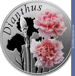 Full 10 rubley 2013 goda gvozdika dianthus