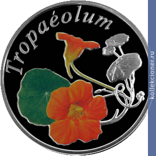 Full 10 rubley 2013 goda nasturtsiya tropaeolum