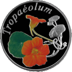 Thumb 10 rubley 2013 goda nasturtsiya tropaeolum