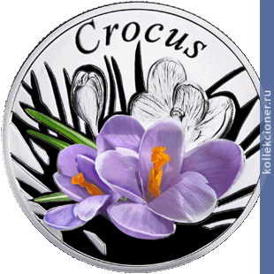 Full 10 rubley 2013 goda krokus crocus