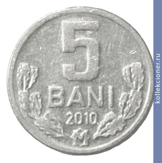 Full 5 bani 2010 g