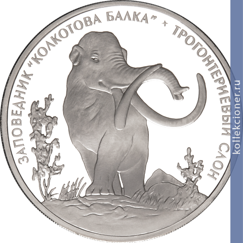 Full 5 rubley 2007 goda trogonterievyy slon