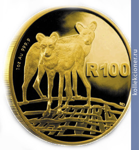 Full 100 rendov 2012 goda afrikanskie krasnye volki