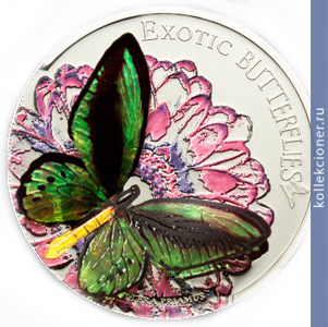 Full 5 dollarov 2012 goda ekzoticheskie babochki ornitoptera priam